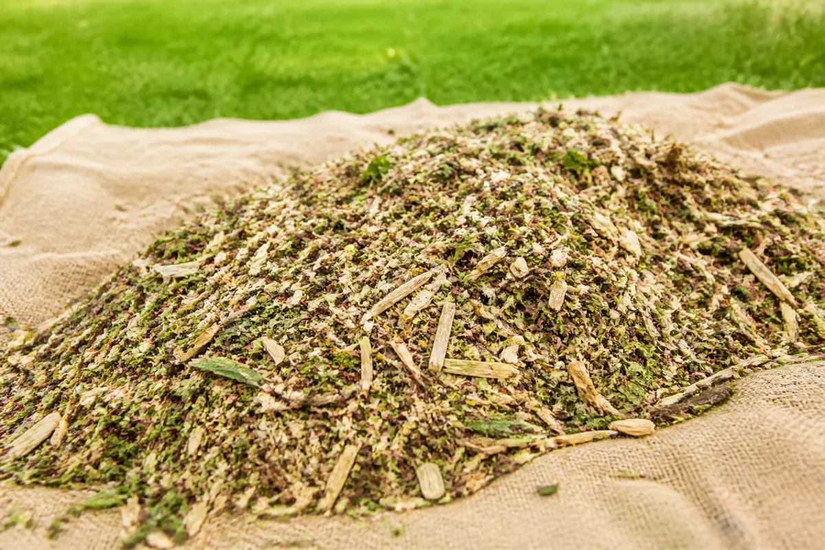 Paillage jardin : choisir et poser le bon paillis